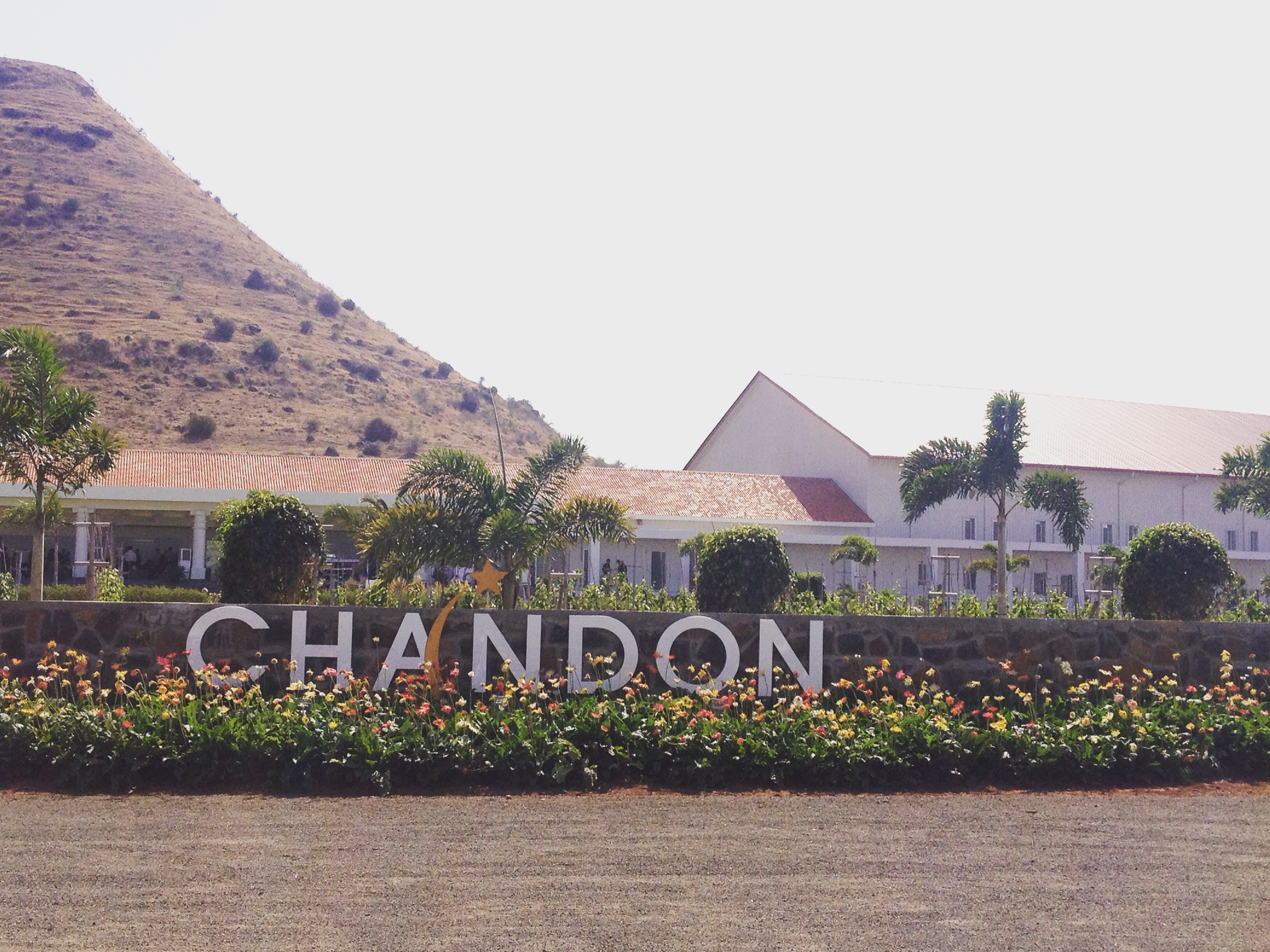 An experiential visit to the Chandon India winery - Luxebook